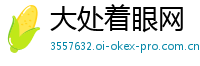 大处着眼网